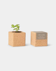 Grow cube personnalisable