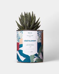 Cactus 100% personnalisable Diaiwaie