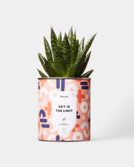 Cactus 100% personnalisable Diaiwaie