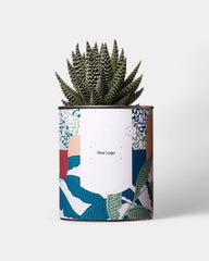 Cactus 100% personnalisable Diaiwaie