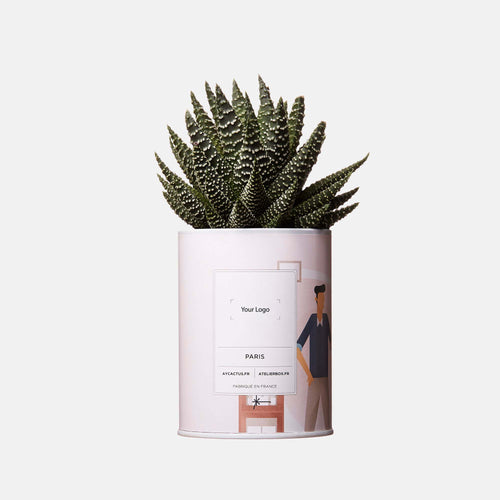 Cactus 100% Personnalisable - Ay Cactus