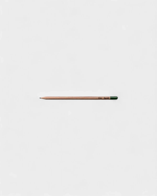 crayon-a-planter-personnalisable2