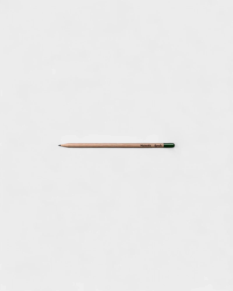 crayon-a-planter-personnalisable4