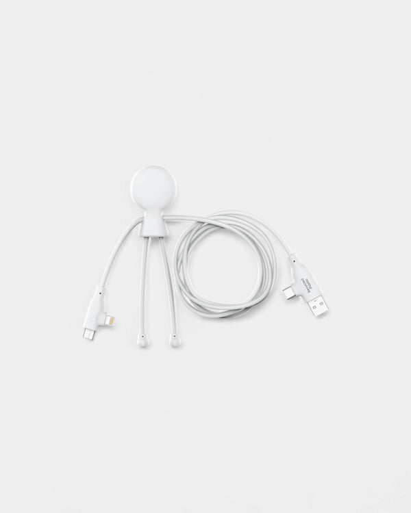 Câble 60W 3 en 1 en plastique recyclé à personnaliser