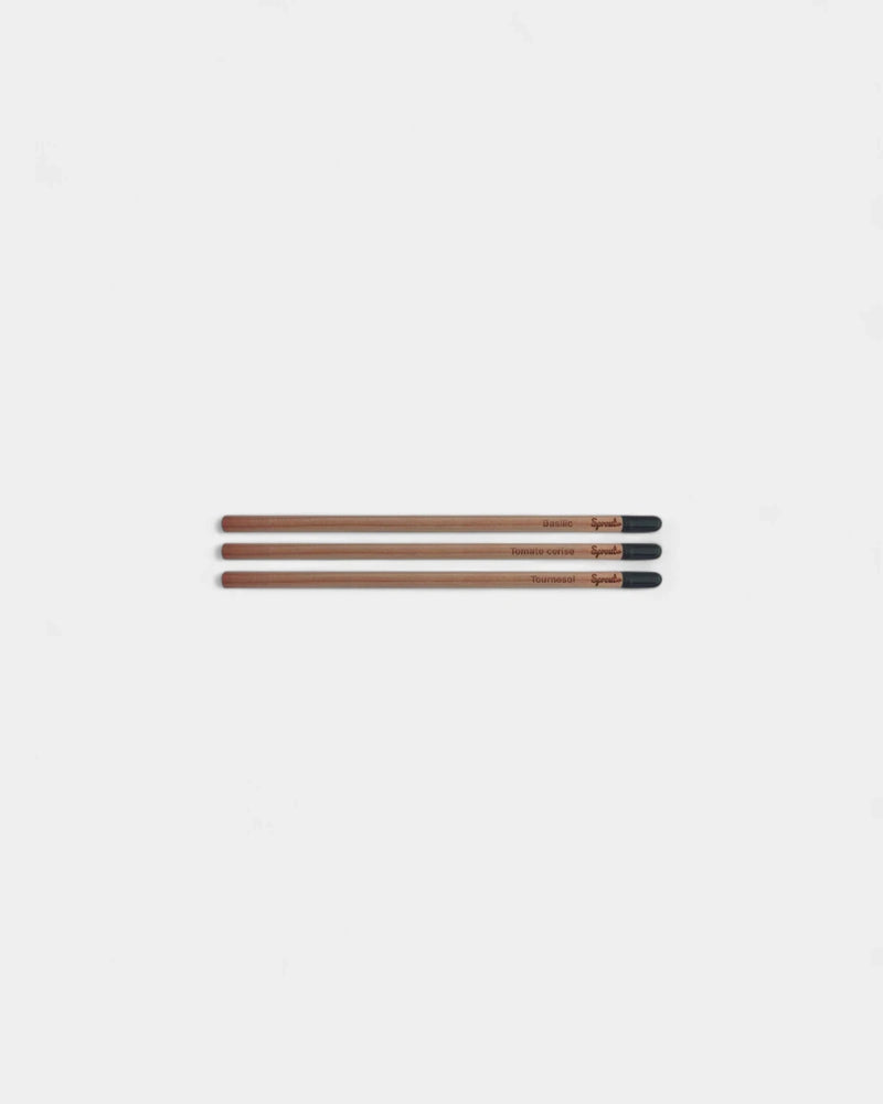 crayons-a-planter-et-personnaliser4