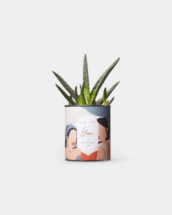 Cactus 100% personnalisable Diaiwaie