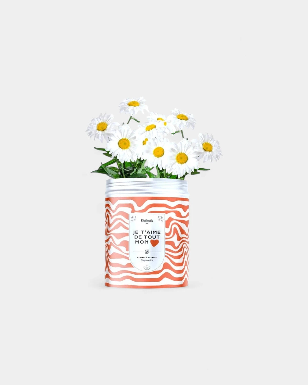 Kits de graines à planter personnalisable