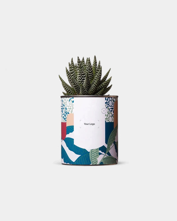 Cactus 100% personnalisable Diaiwaie