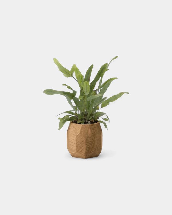 pot-a-stylo-personnalisable2