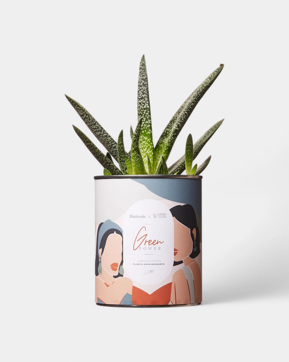 Cactus 100% personnalisable Diaiwaie