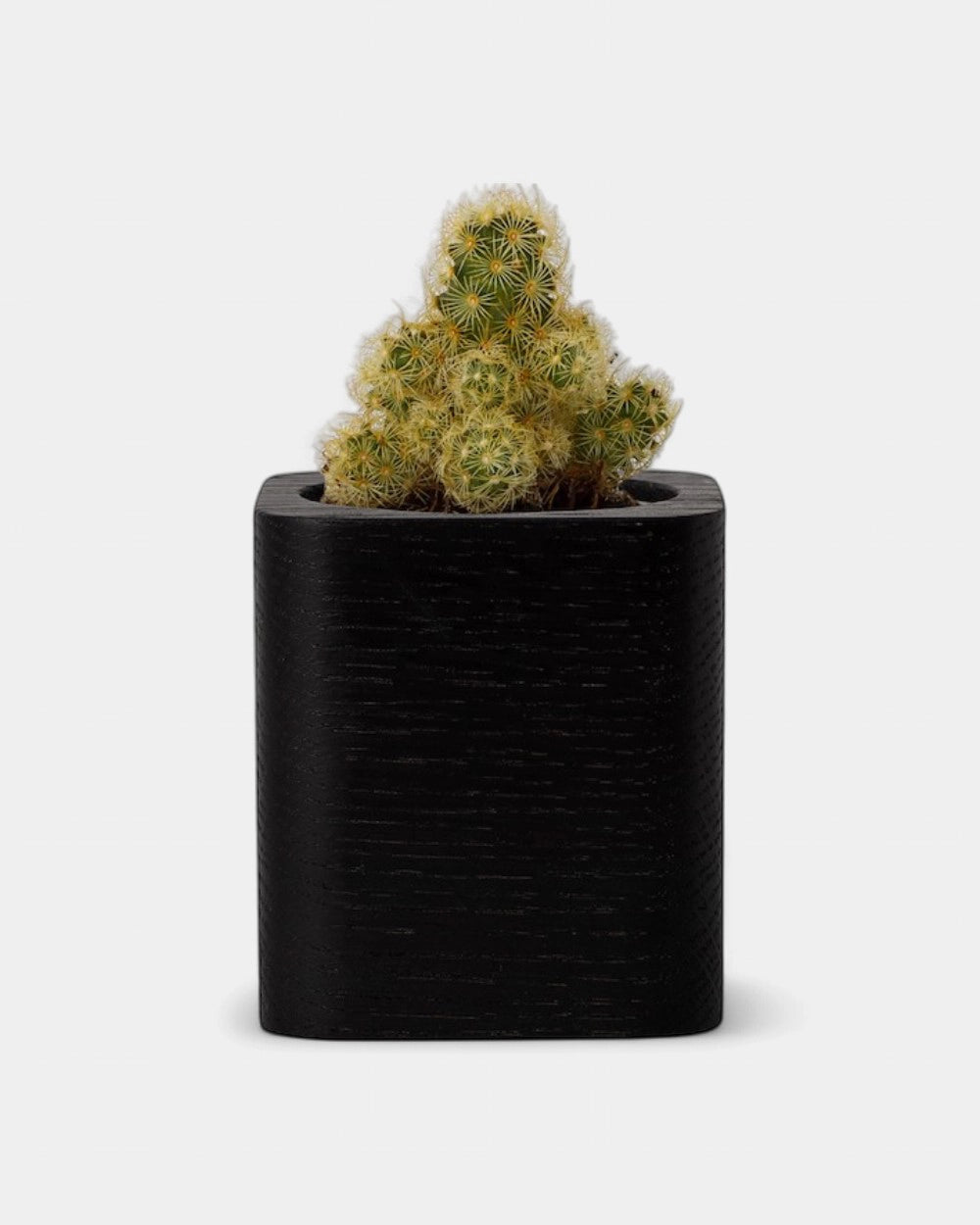 Pot cubique à personnaliser