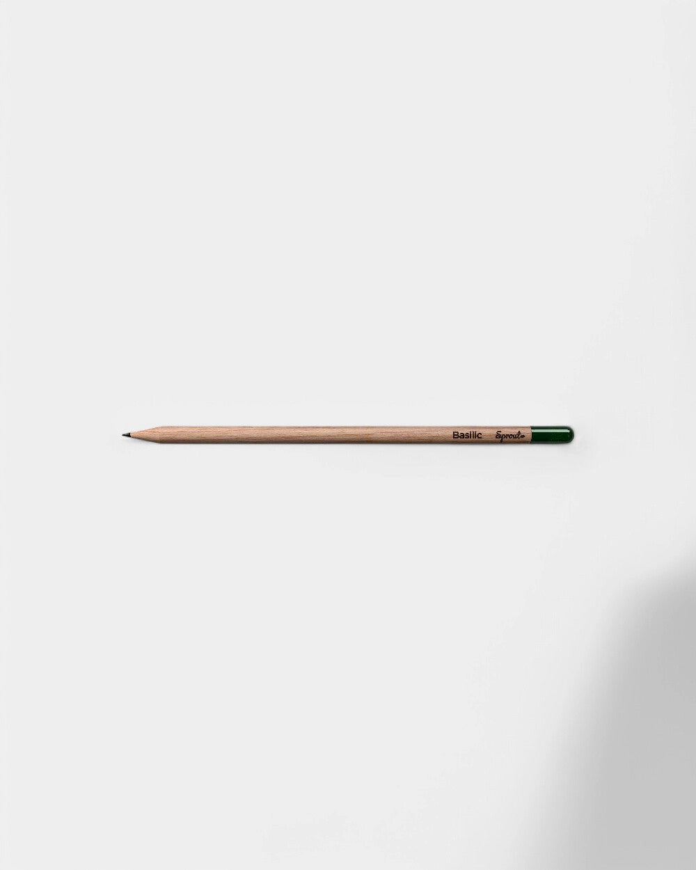 Crayon à planter éco-responsable personnalisable
