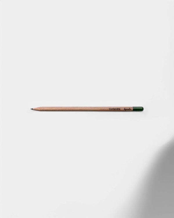 Crayon à planter éco-responsable personnalisable