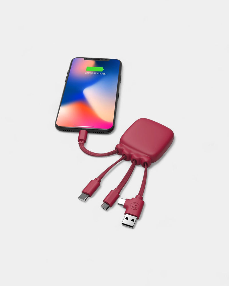 Batterie de poche 3 000 mAh & multi‑câbles à personnaliser