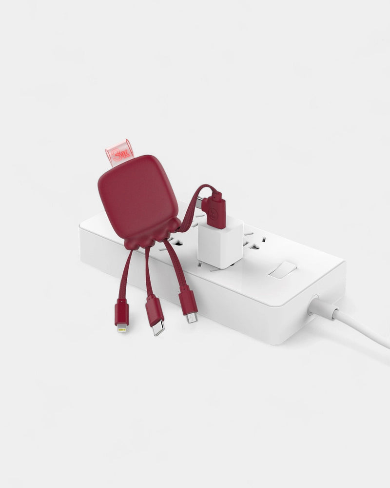 Batterie de poche 3 000 mAh & multi‑câbles à personnaliser