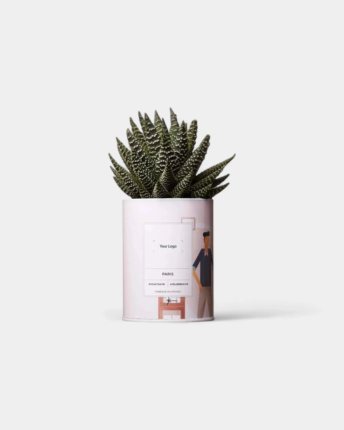 Cactus 100% Personnalisable - Ay Cactus