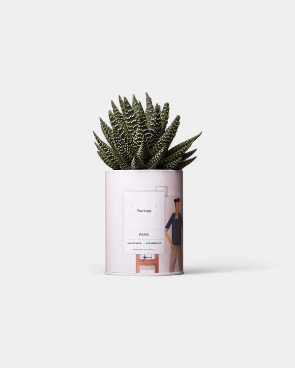 Cactus 100% Personnalisable - Ay Cactus