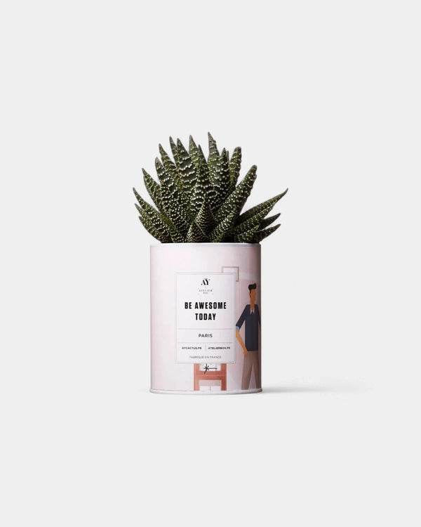 Cactus 100% Personnalisable - Ay Cactus