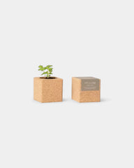 Grow cube personnalisable
