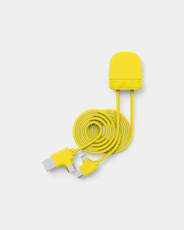 Câble Ice-C Xoopar en plastique recyclé à personnaliser