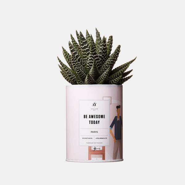 Cactus à personnaliser pour vos collaborateurs ou clients Ay Cactus