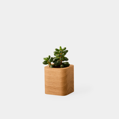 Pot cubique en bois de chêne à personnaliser
