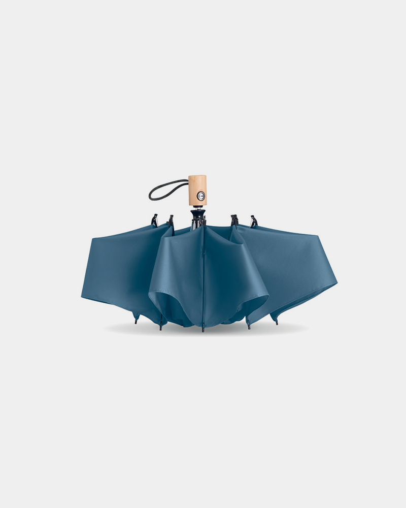 parapluie bleu