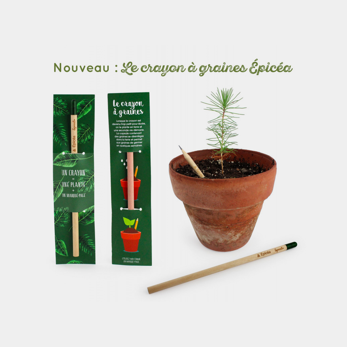 Crayon Bois français - Peuplier de Bretagne, Objet Publicitaire